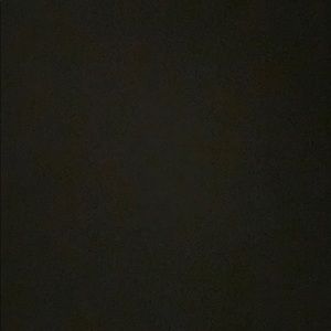 Meet your Posher, Sandy